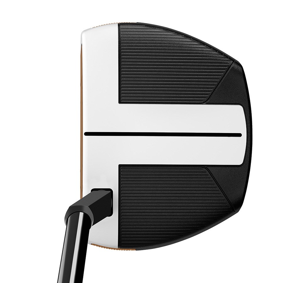 TaylorMade Spider FCG Short Slant putter