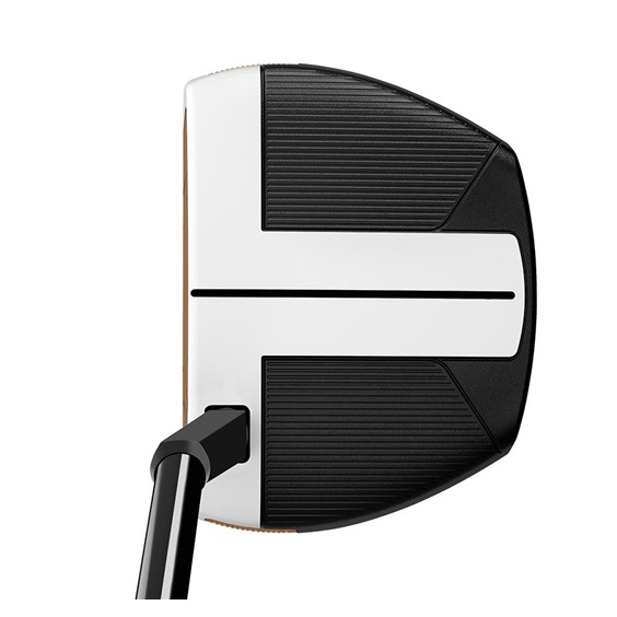 TaylorMade Spider FCG Short Slant putter
