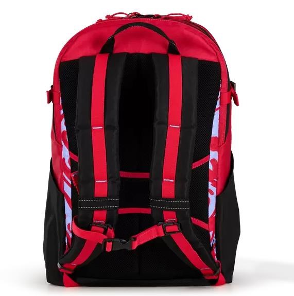 Ogio Alpha 25L batoh, melting geos