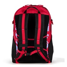 Ogio Alpha 25L batoh, melting geos