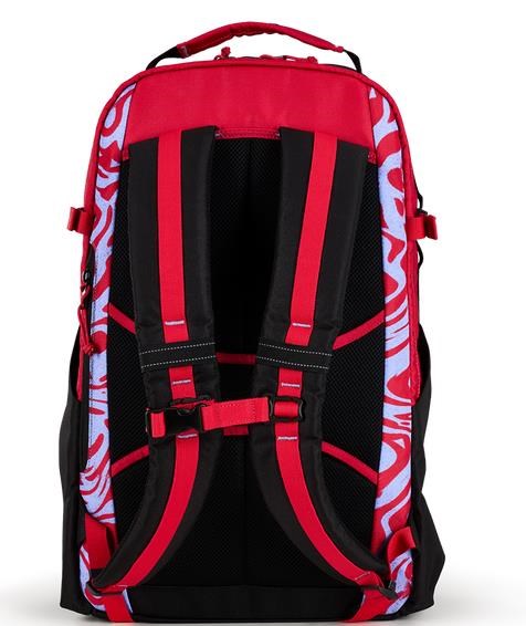 Ogio Alpha 25L batoh, melting geos