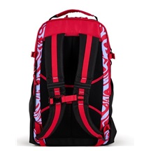 Ogio Alpha 25L batoh, melting geos