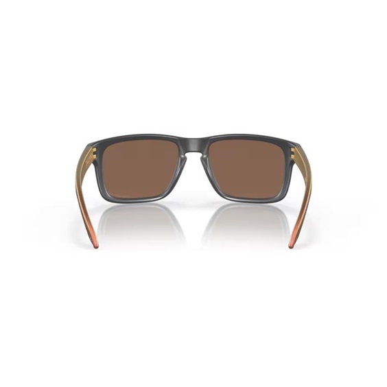 Oakley Holbrook Steel Colection Matte Carbon Prizm 24K Polarized