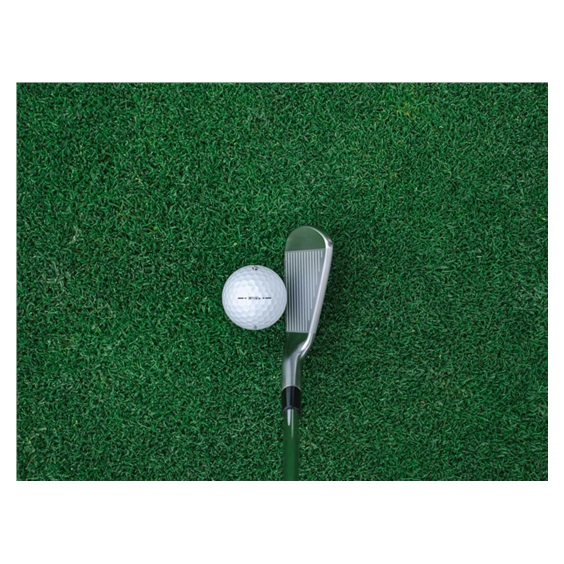 TaylorMade P770 pánská železa, ocel