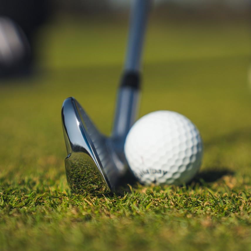 Callaway Elyte pánská železa, ocel
