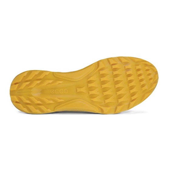 Ecco Biom C4 pánské kožené Gore-Tex golfové boty, wild dove sunrise