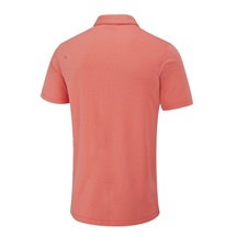 Ping Hershel pánské polo, dubarry multi