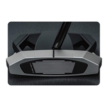TaylorMade Spider ZT putter