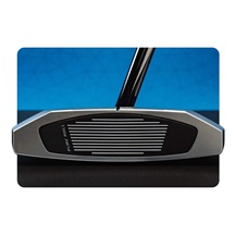 TaylorMade Spider ZT putter