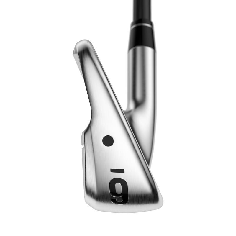 Callaway Apex Ti Fusion Plated pánská železa, grafit