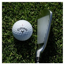 Callaway Apex Ti Fusion Plated pánská železa, ocel