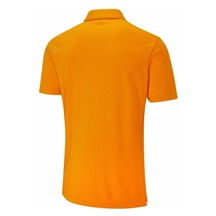 Ping Hershel pánské polo, sunburst multi