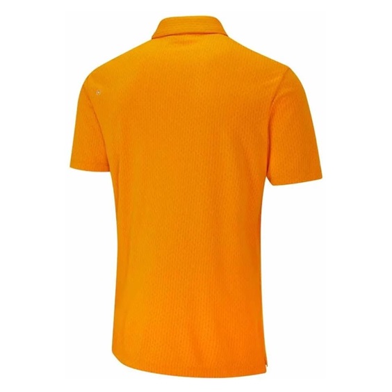 Ping Hershel pánské polo, sunburst multi