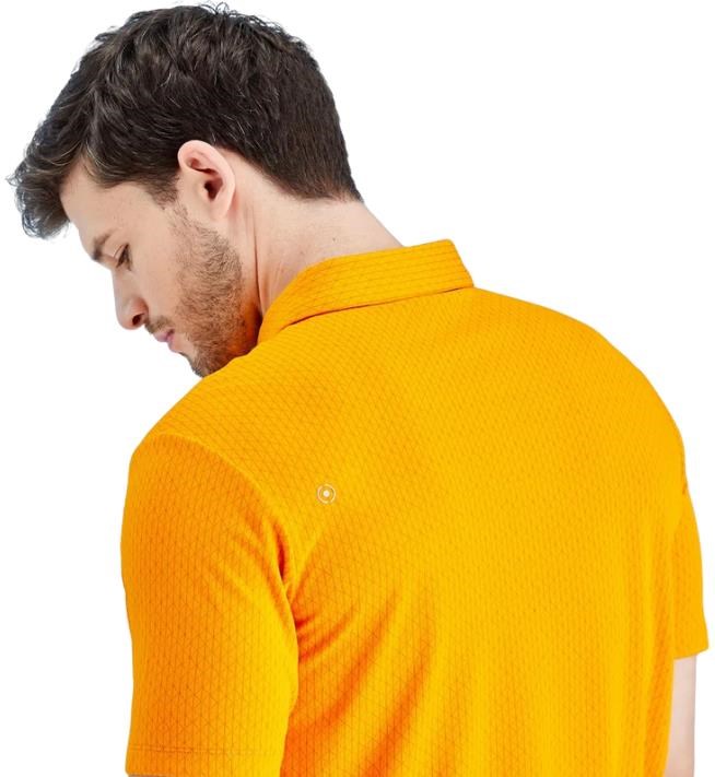 Ping Hershel pánské polo, sunburst multi