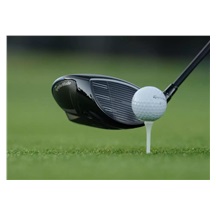 TaylorMade Qi4D pánský driver