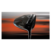 TaylorMade Qi4D LS pánský driver