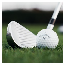 Callaway Quantum Max OS pánská železa, grafit