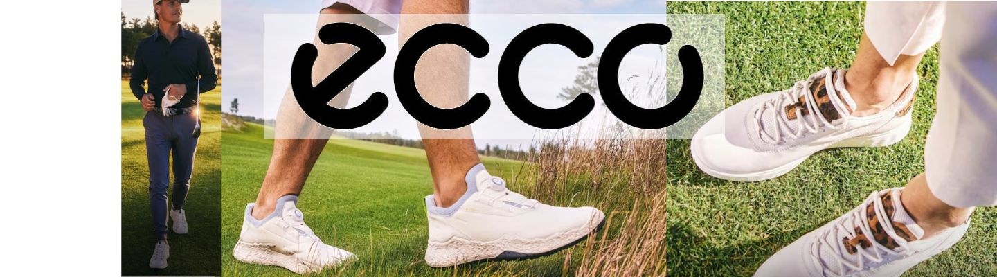CZ_ECCO