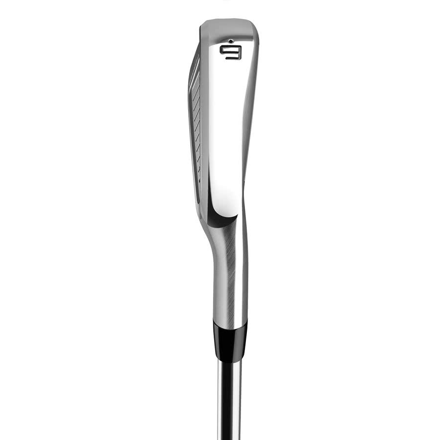 TaylorMade P760 pánská železa