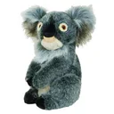 Daphne's driver headcover, koala