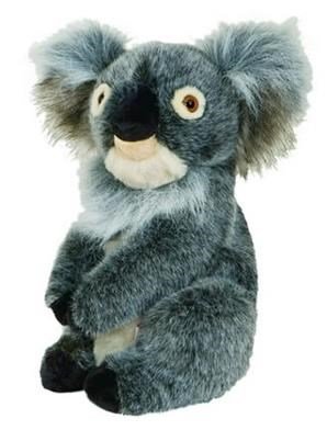 Daphne's driver headcover, koala