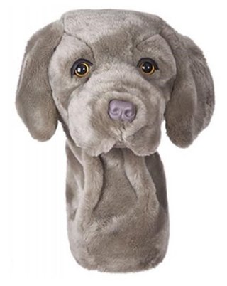 Daphne's driver headcover, výmarský ohař