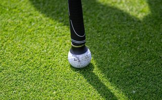 Longridge Mini Ball Pickup zvedač míčku