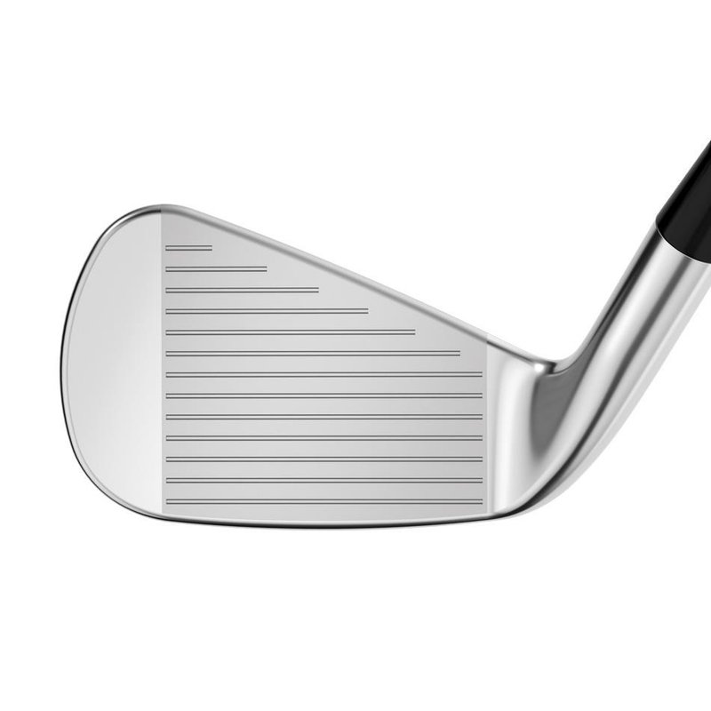 Callaway Apex Pro 21 pánská železa, grafit