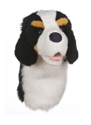 Daphne's driver headcover, bernský salašnický pes