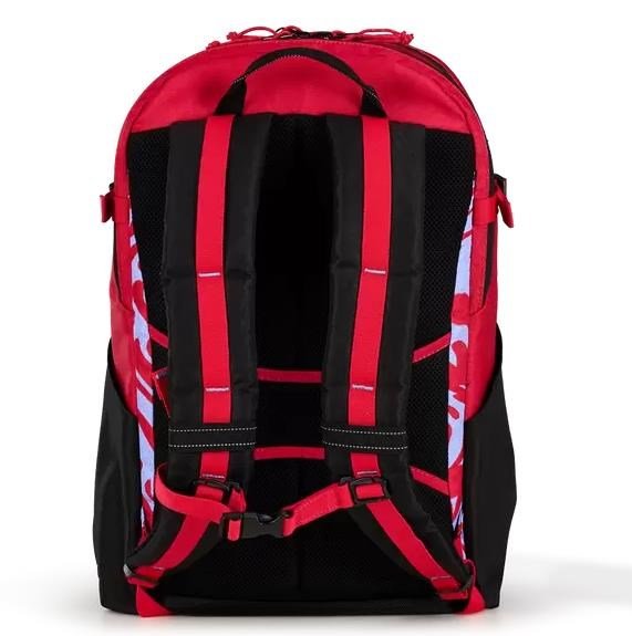 Ogio Alpha 25L batoh, melting geos