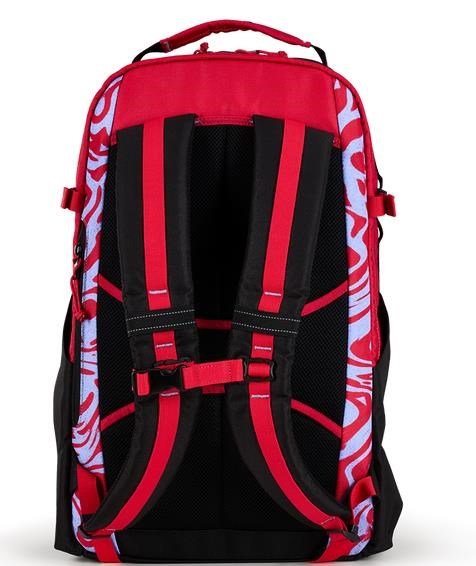 Ogio Alpha 25L batoh, melting geos