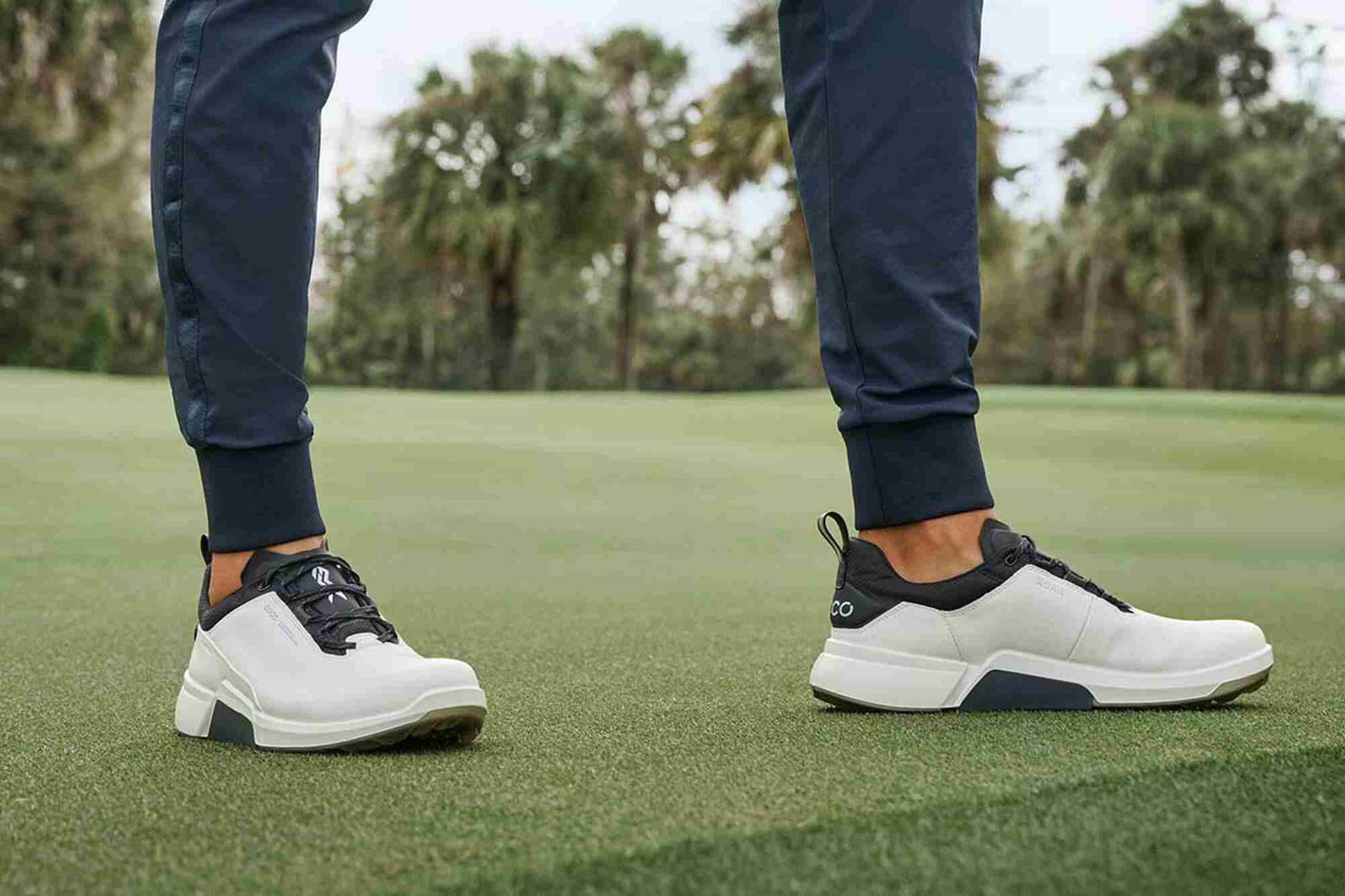Ecco Biom H4 pánské golfové boty, bílo/černé
