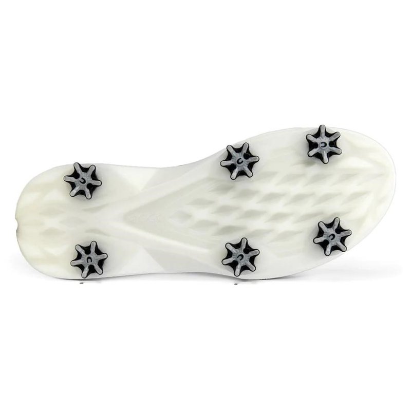 Ecco Biom G5 Boa pánské kožené Gore-Tex golfové boty, šedé