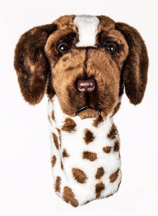Daphne's driver headcover, krátkosrstý Pointer