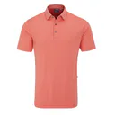 Ping Hershel pánské polo, dubarry multi