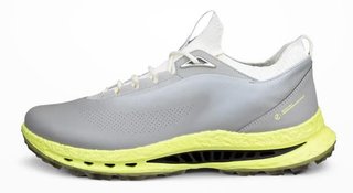 Ecco Biom C5 Boa pánské golfové boty, wild dove
