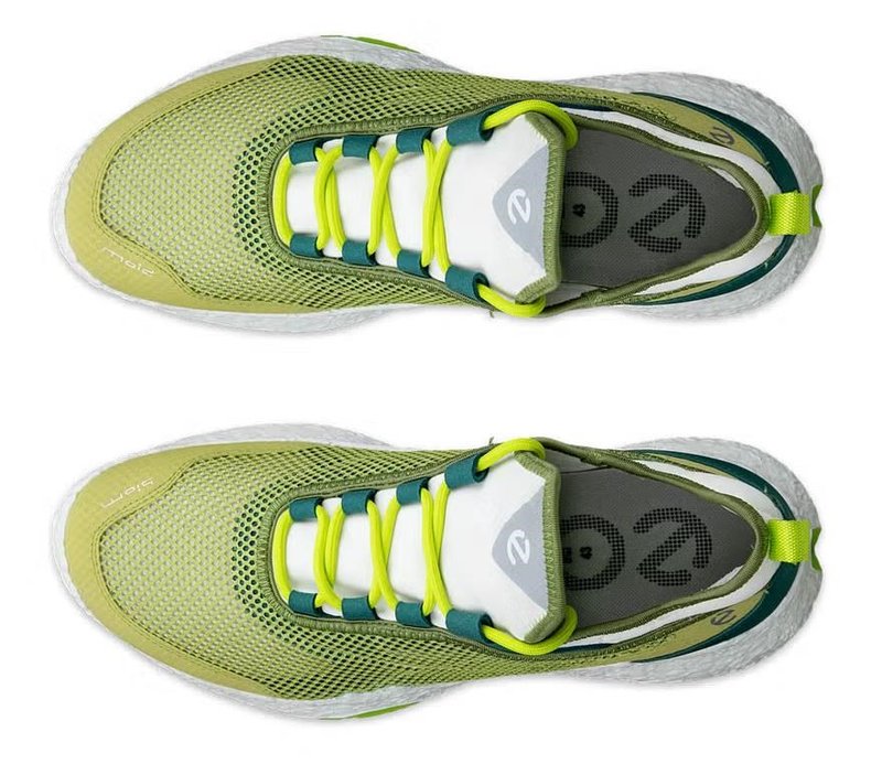 Ecco Biom H5 pánské golfové boty, sweet pea/lime punch//baygreen