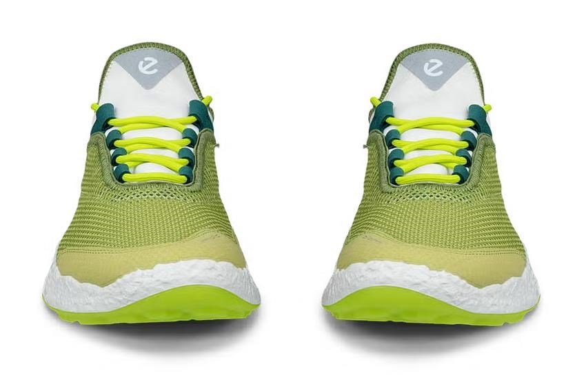 Ecco Biom H5 pánské golfové boty, sweet pea/lime punch//baygreen