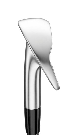 Mizuno Pro M-13 pánská železa, ocel