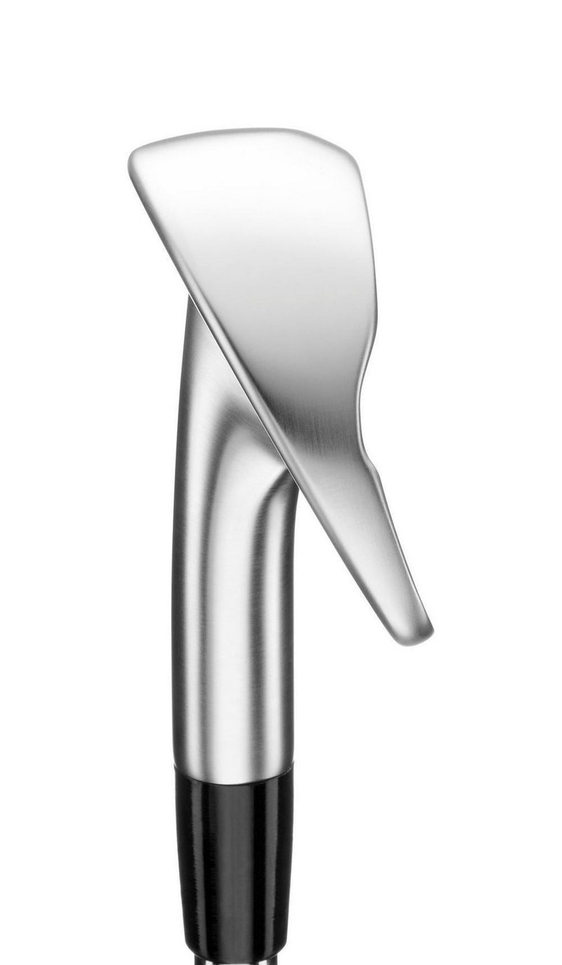 Mizuno Pro M-13 pánská železa, ocel