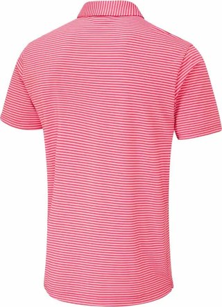 PING Langford pánské polo, rhapsody/pink white