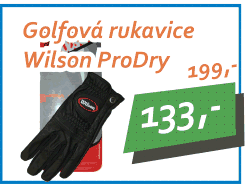 Wilson ProDry