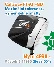 FT-iQ